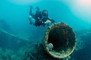 mergulhador em abrolhos