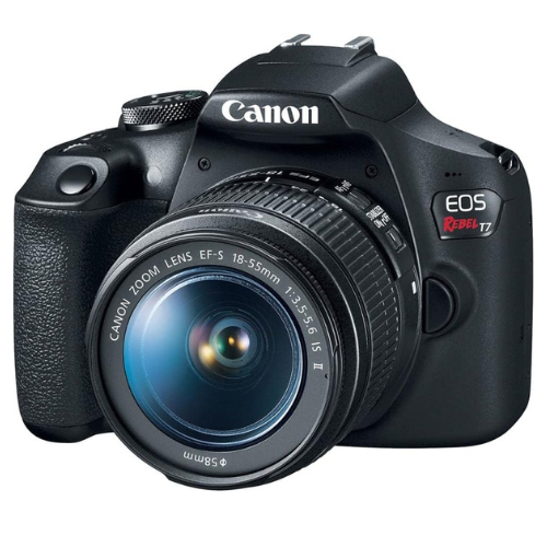 Câmera com bom zoom para fotografar baleias